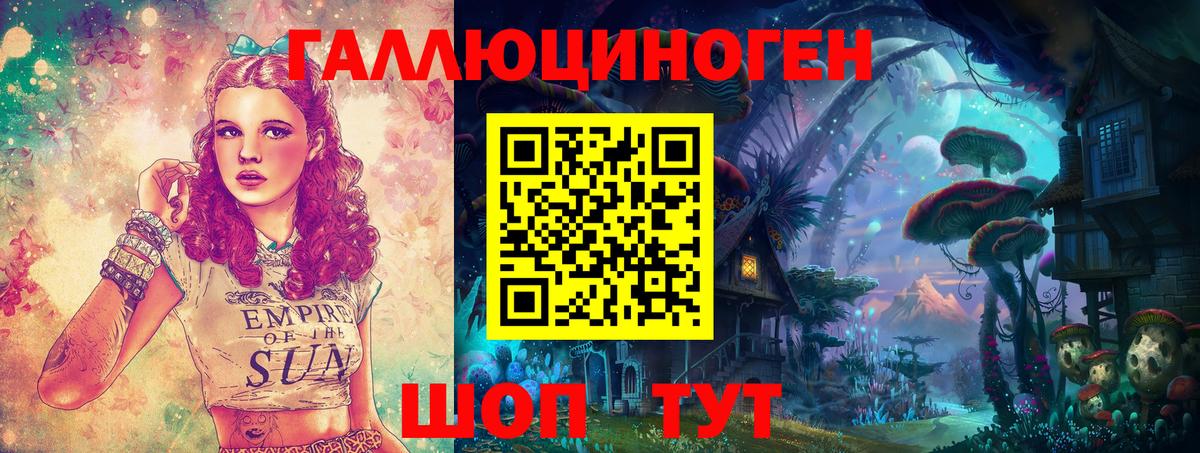 Галлюциногенные грибы Psilocybe Вятские Поляны